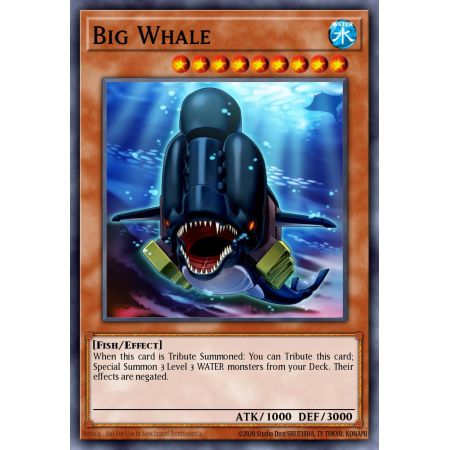 Big Whale (Rare)