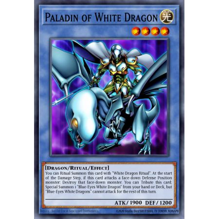 Paladin of White Dragon (Ultra Rare)