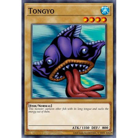 Tongyo (Common)