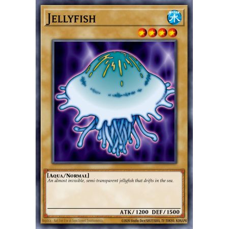 Jellyfish (Common)