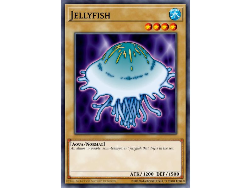 Jellyfish (Common)