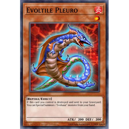 Evoltile Pleuro (Common)