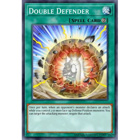 Double Defender (Common)