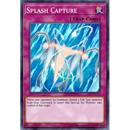 Splash Capture (Common)
