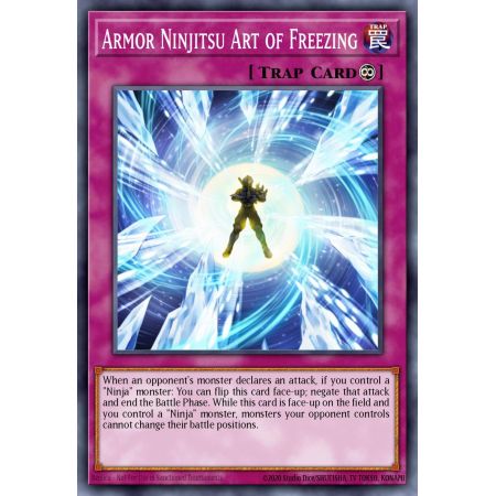 Armor Ninjitsu Art of Freezing (Common)