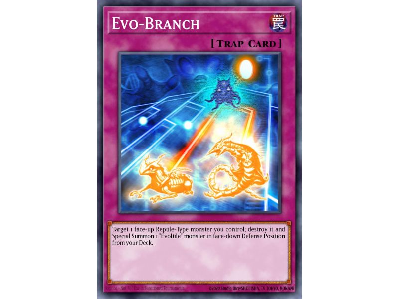 Evo-Branch (Common)