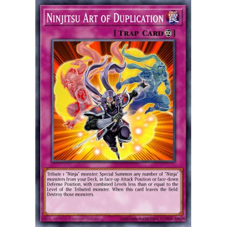 Ninjitsu Art of Duplication (Rare)