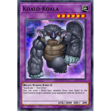 Koalo-Koala (Common)