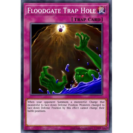 Floodgate Trap Hole (Common)
