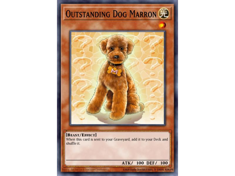 Outstanding Dog Marron (Common)