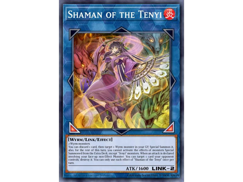 Shaman of the Tenyi (Common)