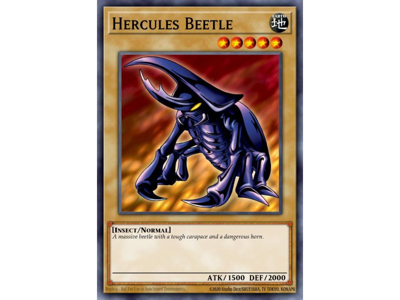 Hercules Beetle (Common)