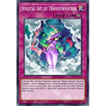 Ninjitsu Art of Transformation (Super Rare)
