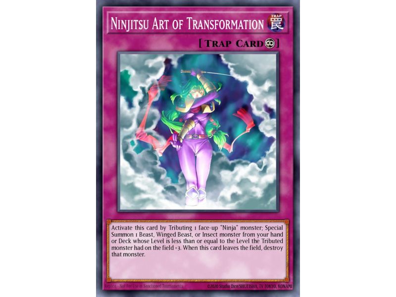 Ninjitsu Art of Transformation (Super Rare)