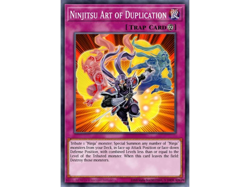 Ninjitsu Art of Duplication (Common)