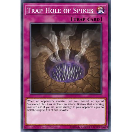 Trap Hole of Spikes (Common)