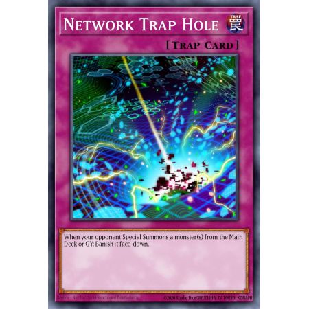 Network Trap Hole (Common)