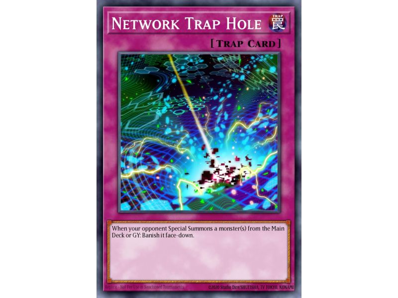Network Trap Hole (Common)