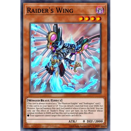 Raider's Wing (Common)