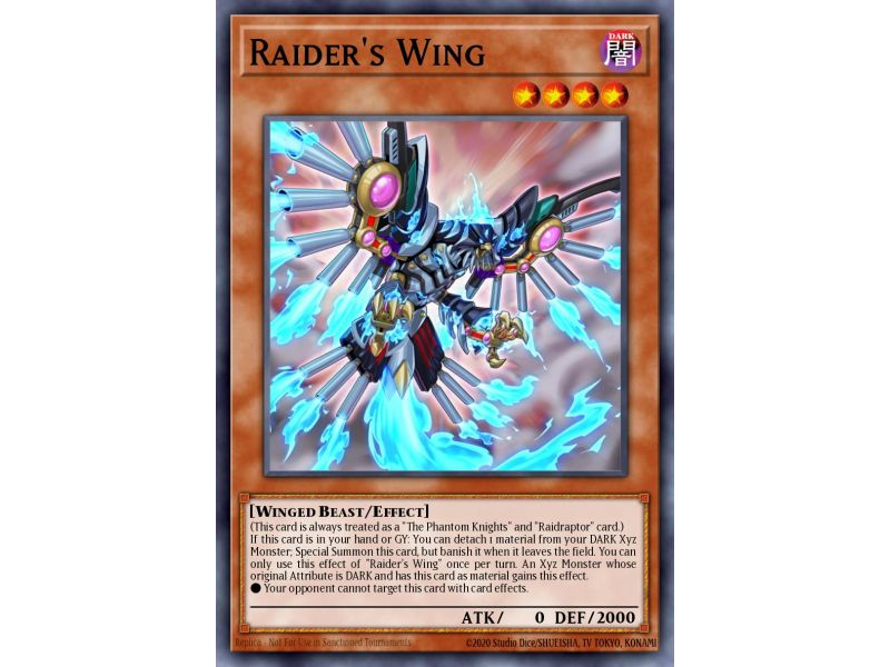 Raider's Wing (Common)