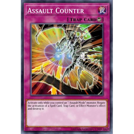 Assault Counter (Common)
