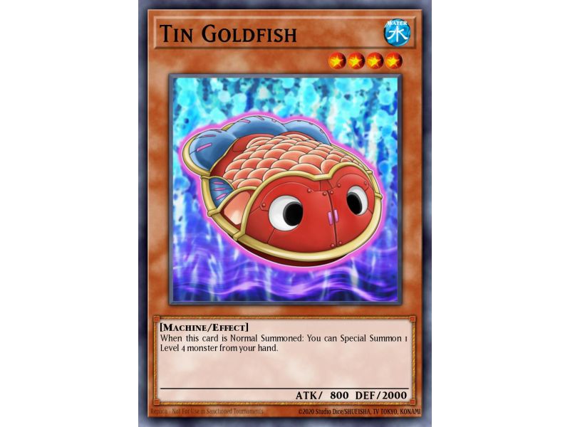 Tin Goldfish (Common)