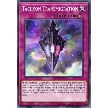 Tachyon Transmigration (Common)