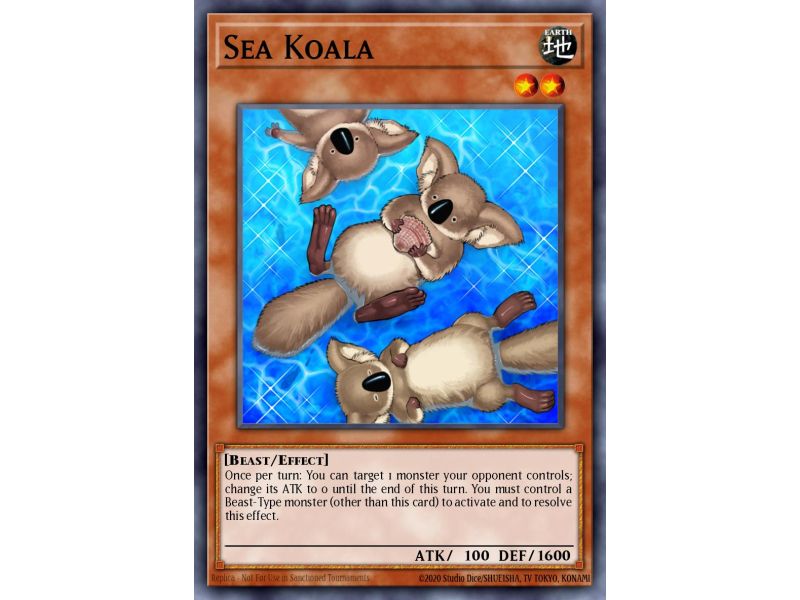 Sea Koala (Common)