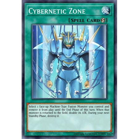 Cybernetic Zone (Common)
