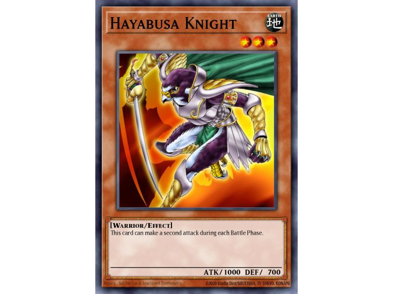 Hayabusa Knight (Rare)