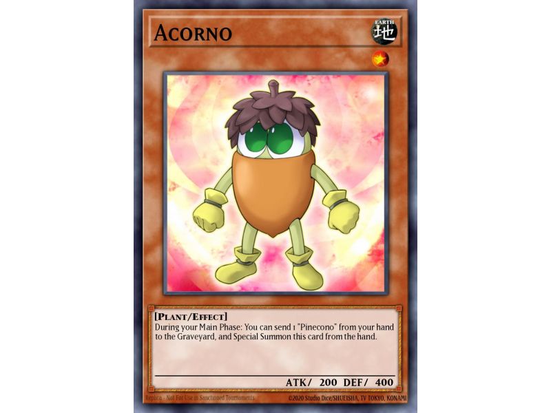 Acorno (Common)