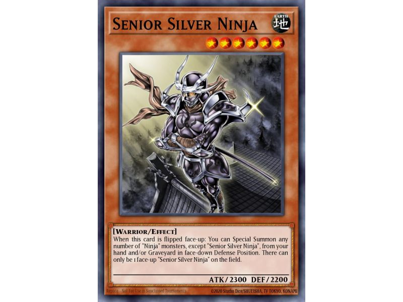 Senior Silver Ninja (Common)