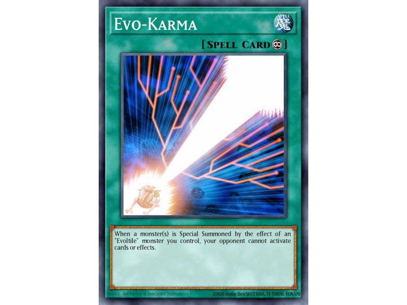 Evo-Karma (Common)
