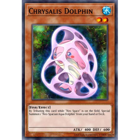 Chrysalis Dolphin (Common)