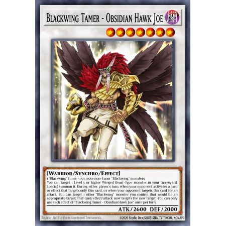 Blackwing Tamer - Obsidian Hawk Joe (Gold Secret Rare)