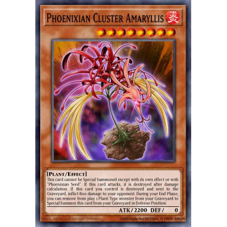 Phoenixian Cluster Amaryllis (Super Rare)