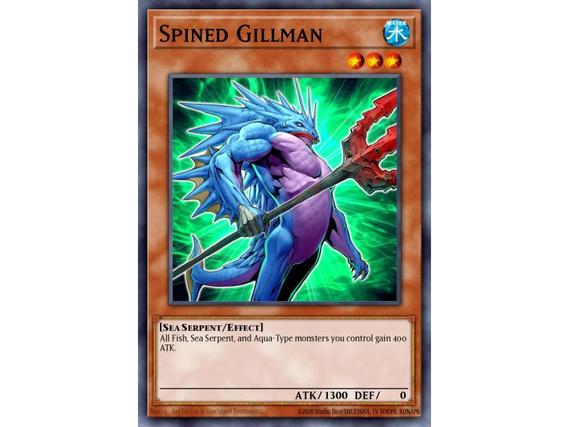 Spined Gillman (Common)