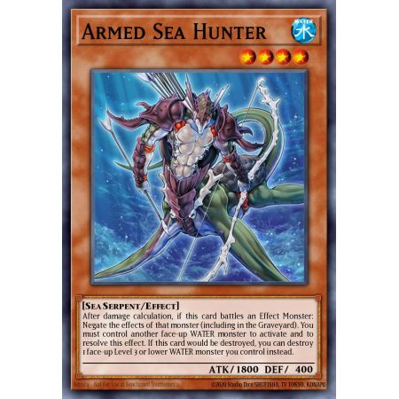 Armed Sea Hunter (Common)