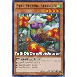 Star Staring Starling (Rare) – Dark Neostorm | Carta YUGIOH en México