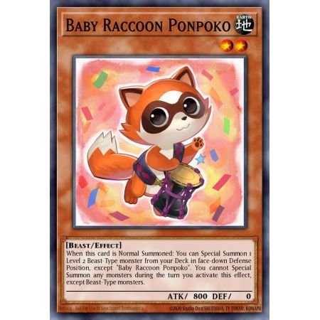 Baby Raccoon Ponpoko (Common)