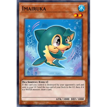Imairuka (Common)