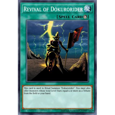 Revival of Dokurorider (Common)