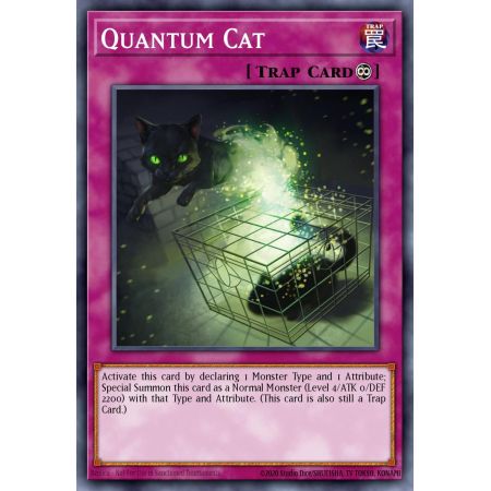 Quantum Cat (Common)