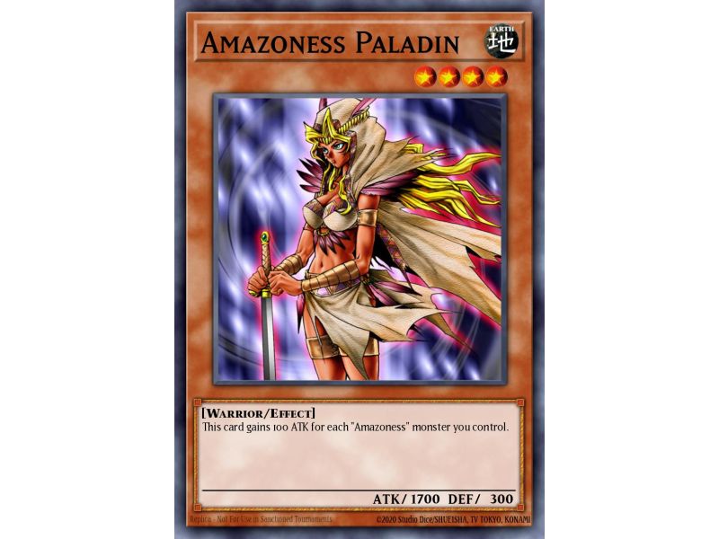 Amazoness Paladin (Common)