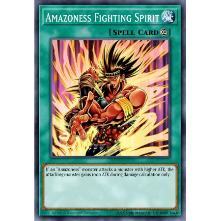 Amazoness Fighting Spirit (Common)