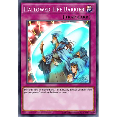 Hallowed Life Barrier (Common)