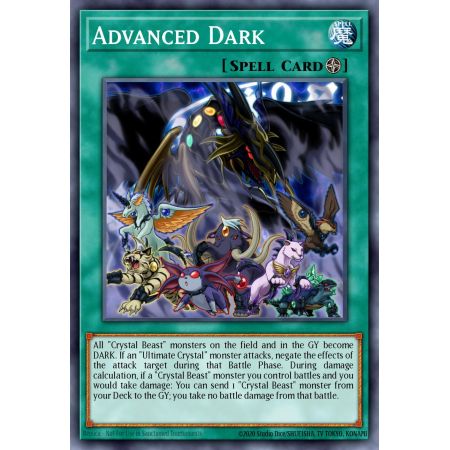 Advanced Dark (Common)