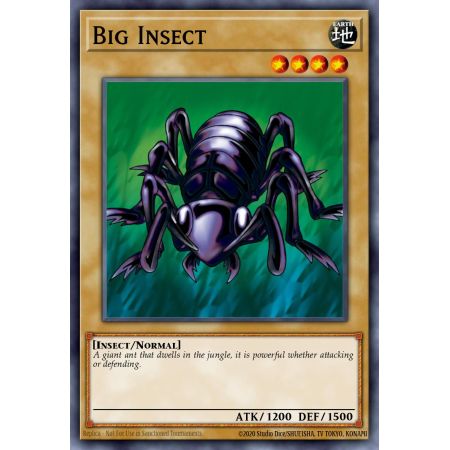 Big Insect (Common)