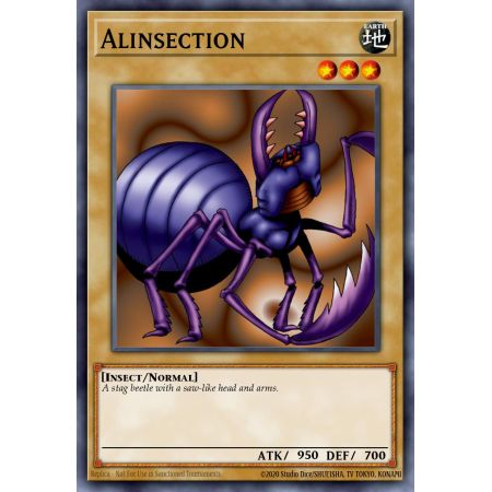 Alinsection (Common)