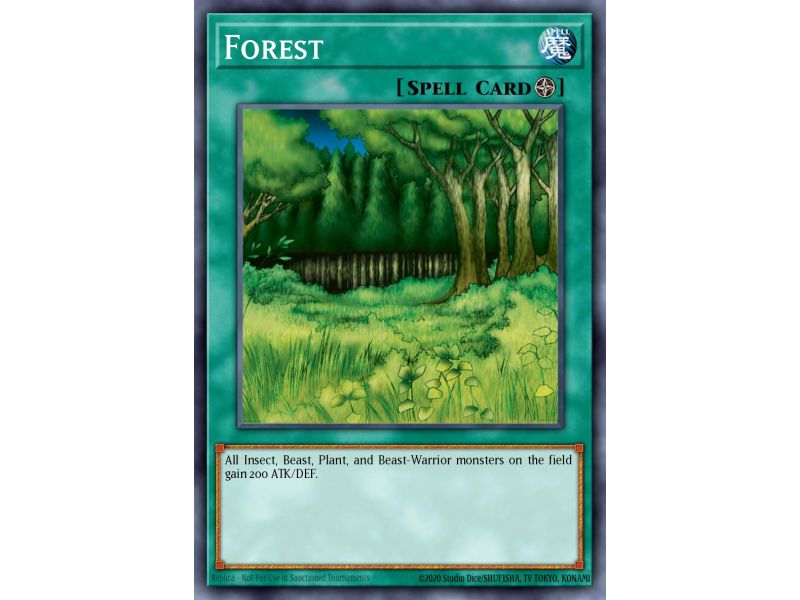 Forest (Common)
